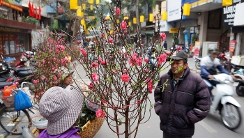 Tết đến, ghé chợ hoa truyền thống của người Hà Nội