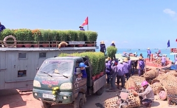 Chở Tết ra đảo tiền tiêu