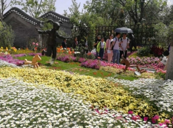 Quảng Bình tổ chức triển lãm lễ hội hoa quốc tế