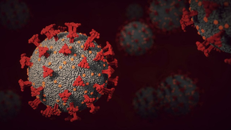 Phát hiện thêm 9 chủng virus corona mới - 1