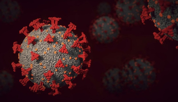 Phát hiện thêm 9 chủng virus corona mới