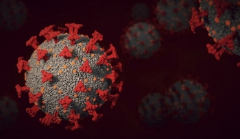 Phát hiện thêm 9 chủng virus corona mới