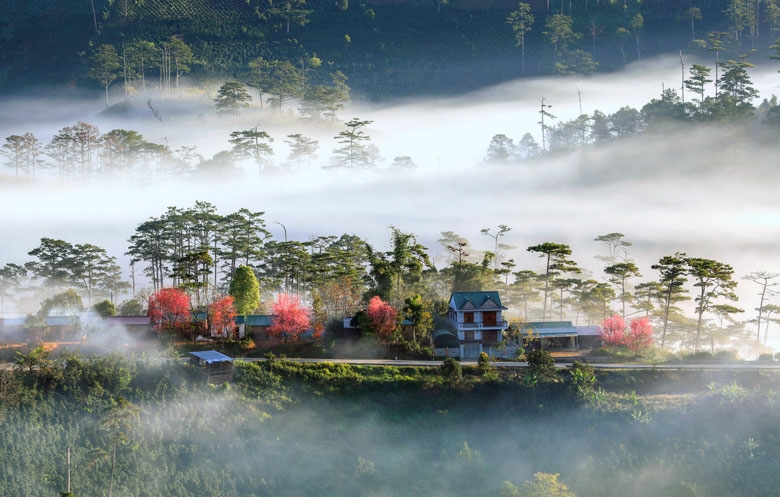 Ngắm nhìn cảnh sắc đẹp mê hồn của thiên nhiên Lâm Đồng