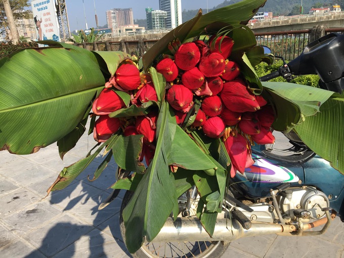 Hoa độc lạ xuất hiện tại chợ xuân Lào Cai - 3