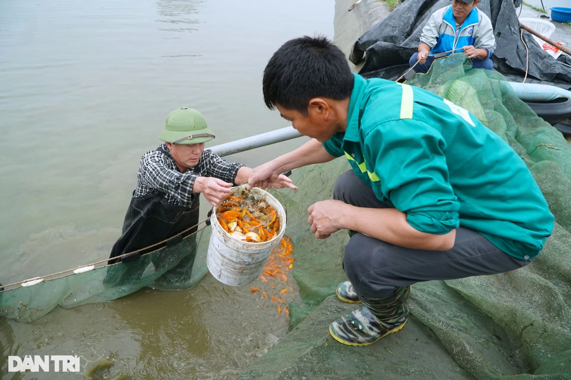 Mẻ lưới trăm triệu tại nơi sản xuất phương tiện tiễn ông Công, ông Táo  - 5