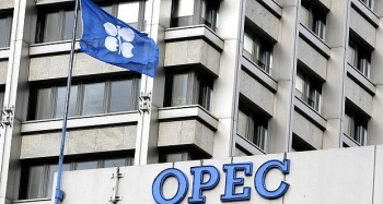 OPEC đang bị dồn vào chân tường?