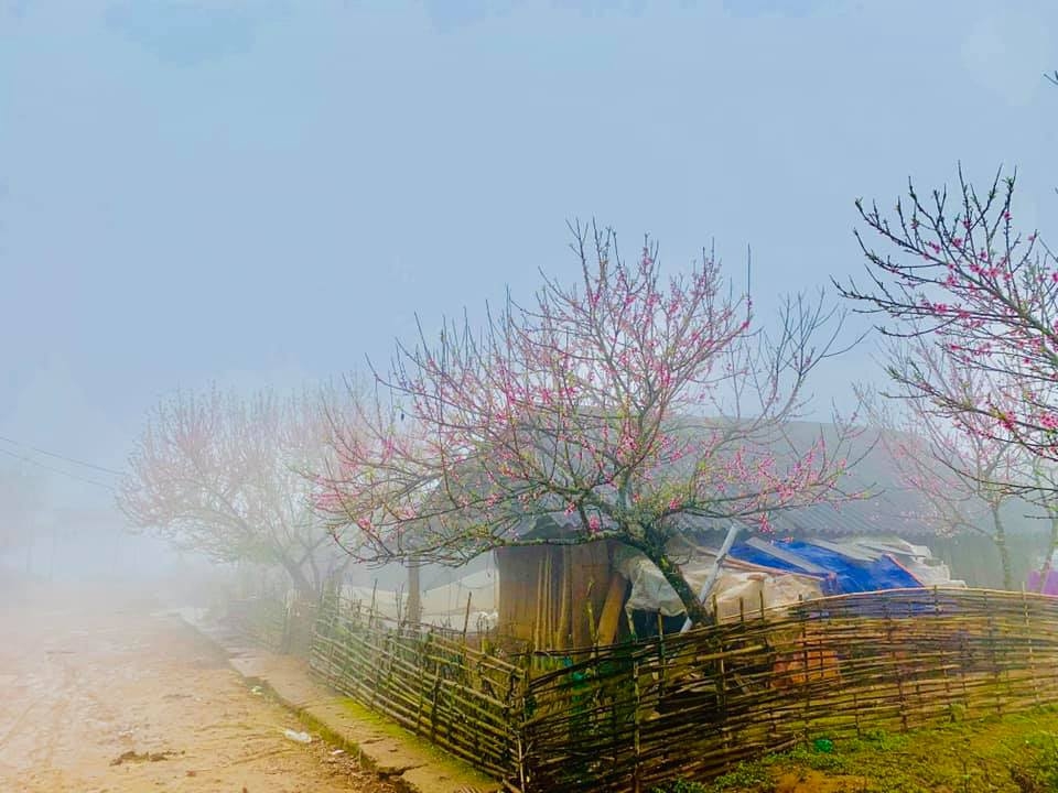 Cu Vai - Bản làng nơi “níu gió vờn mây”