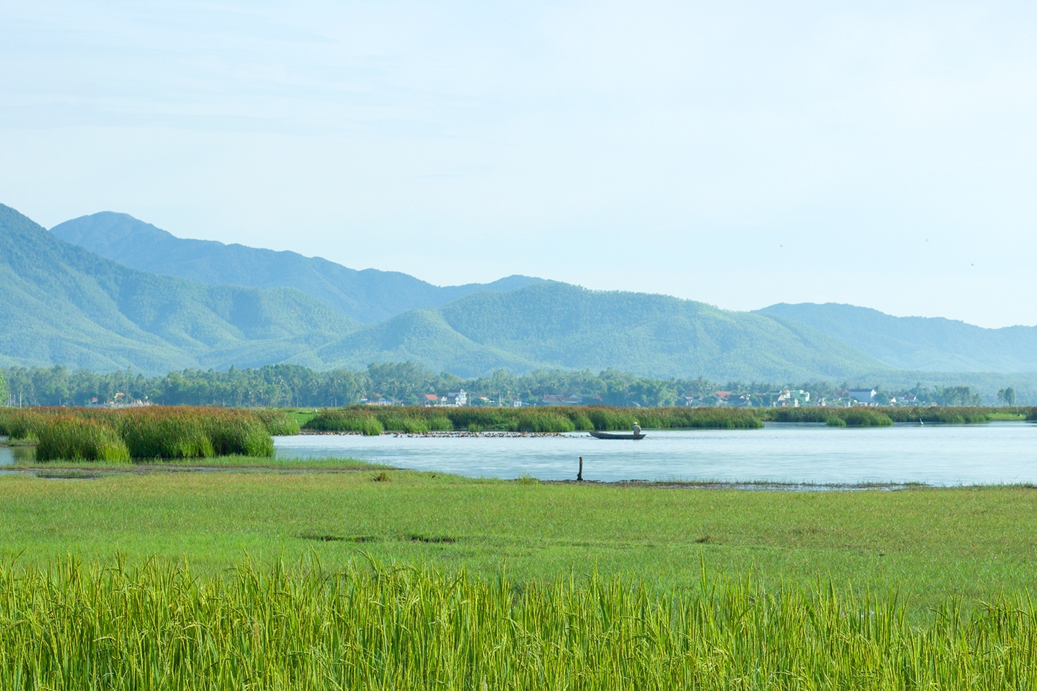 Vẻ đẹp yên bình, hoang sơ của đầm Trà Ổ