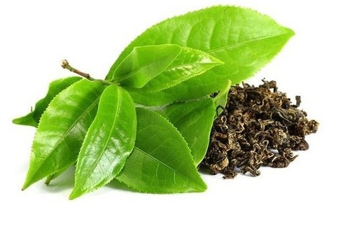Các polyphenol được tìm thấy trong trà là những chất ức chế chính hấp thu sắt.
