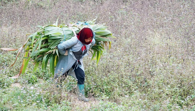 Ngày 8/3 của những người phụ nữ dân tộc H'Mông