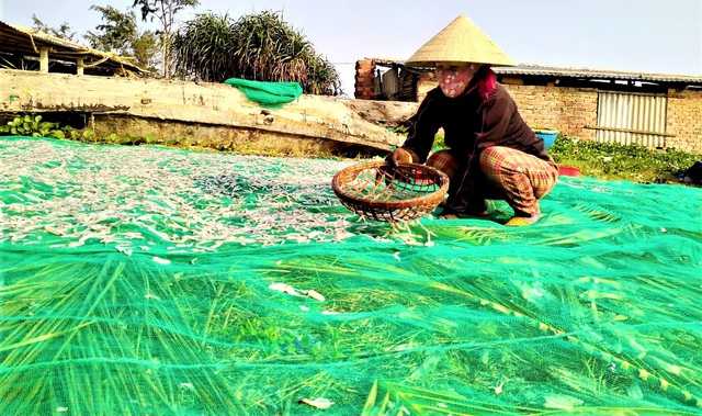 Nhộn nhịp mưu sinh ở làng chài ven biển trong buổi sớm mai