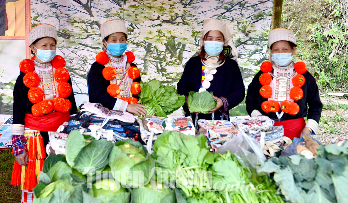 Hồng Thái tổ chức Lễ hội Hương sắc hoa lê năm 2022