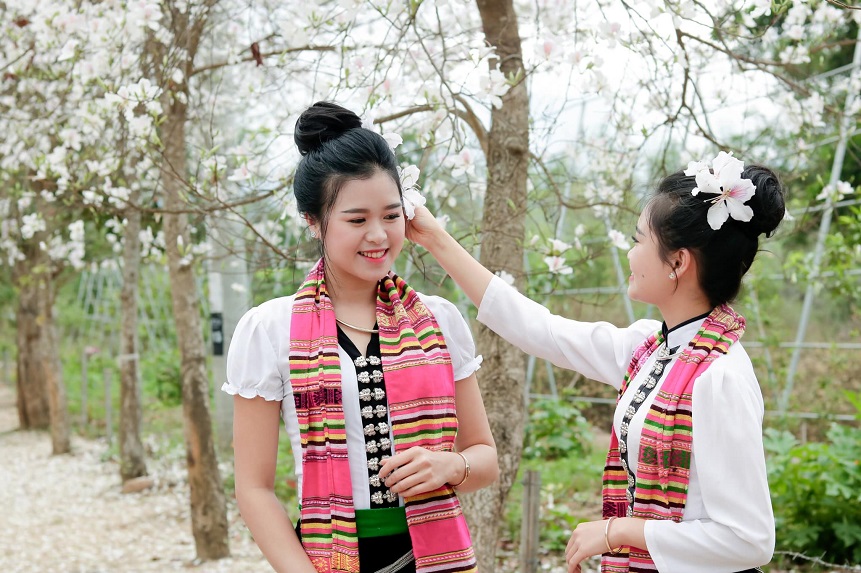 Yên Bái: Tháng Ba Nghĩa Lộ, trắng trời hoa ban