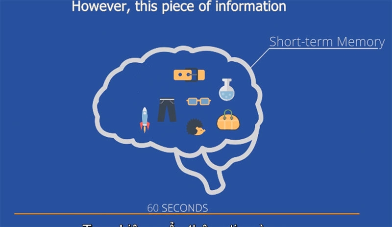 [VIDEO] Phương pháp giúp trí nhớ ngắn hạn thành dài hạn