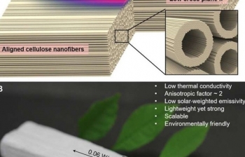 Gỗ nano có thể giảm phát thải cacbon