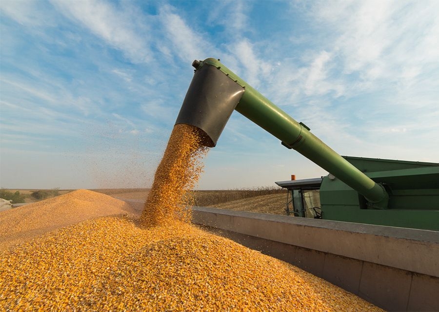 Brazil: Tốc độ xuất khẩu đậu tương tăng mạnh trong tháng Tư