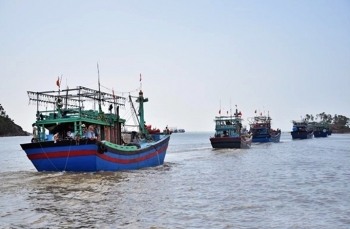 Bình Định: Hỗ trợ gần 81 tỷ đồng cho tàu đánh bắt cá xa bờ