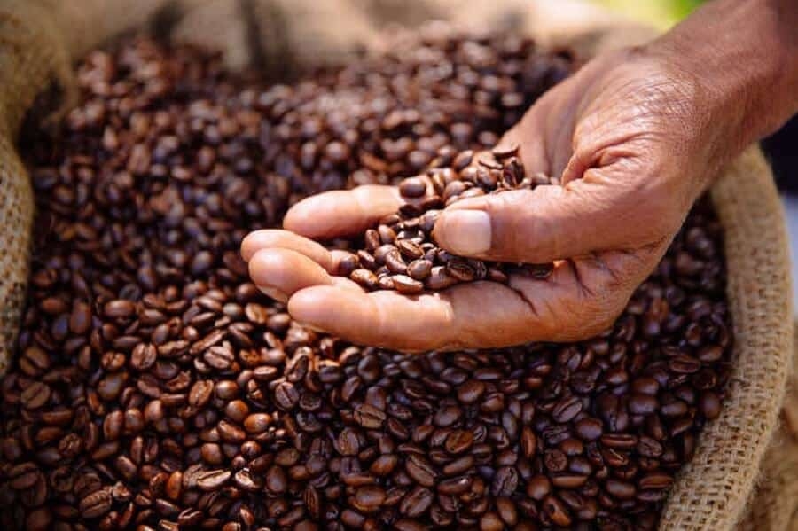 Giá cà phê hôm nay 23/4: Tăng giảm trái chiều; Việc bán hàng từ Việt Nam gặp khó; Nhu cầu tiêu thụ có thể giảm mạnh