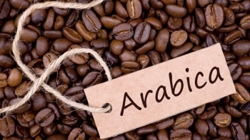 Giá cà phê Arabica có thể tiếp tục mạnh lên trong thời gian tới
