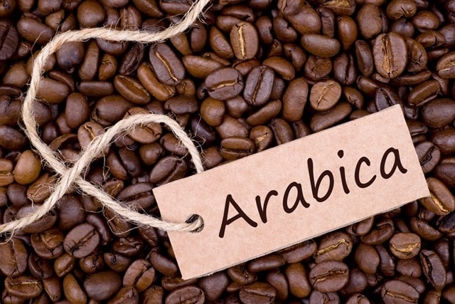 Giá cà phê Arabica có thể tiếp tục mạnh lên trong thời gian tới