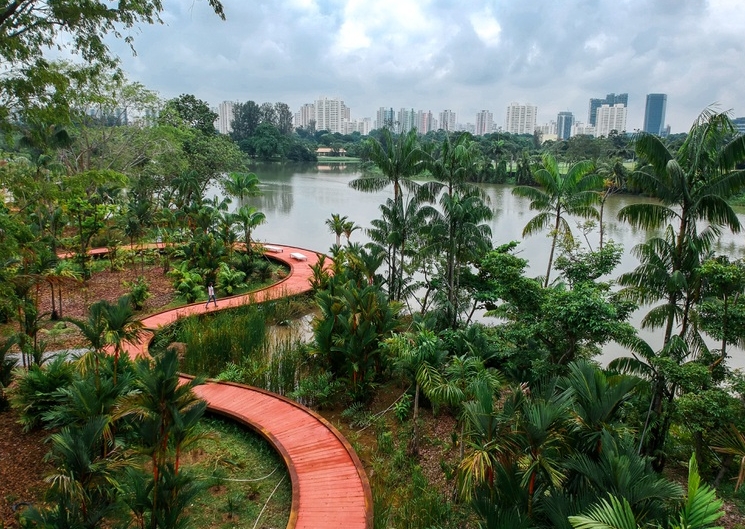 Singapore phủ xanh thành phố ra sao?