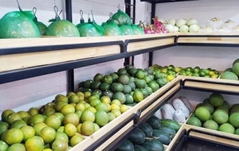 Hà Nội: Hơn 80% cửa hàng trái cây có tem truy xuất nguồn gốc