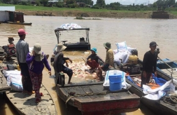 Công an điều tra vụ hơn 300 tấn cá bè chết trắng trên sông La Ngà