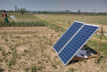 Ấn Độ: Nông dân tưới cây nhờ… năng lượng mặt trời