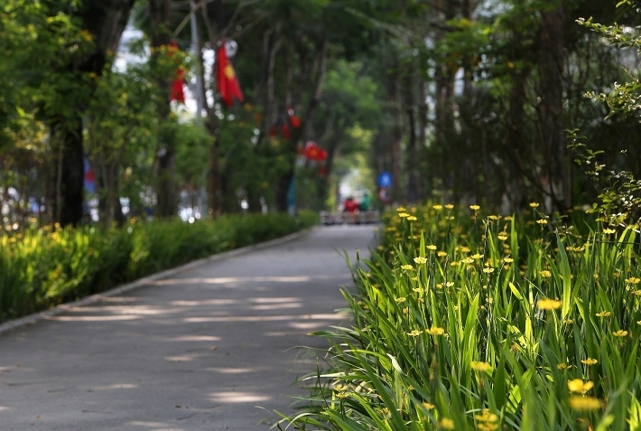Những tuyến phố rợp bóng cây xanh làm đẹp Thủ đô