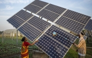Ấn Độ đẩy nhanh chuyển đổi từ nhiệt điện than sang năng lượng mặt trời