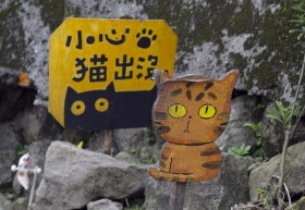 Ghé thăm "thị trấn mèo" ở Đài Loan