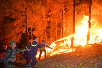 Đám cháy rừng ở Hà Tĩnh bùng phát trở lại