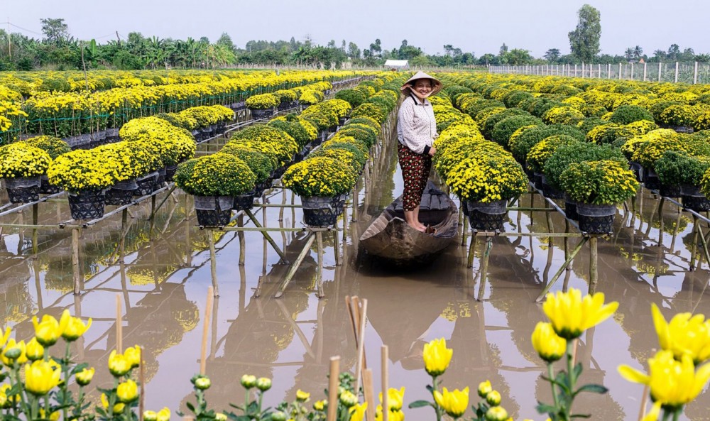 Đồng Tháp phát triển du lịch cộng đồng bền vững