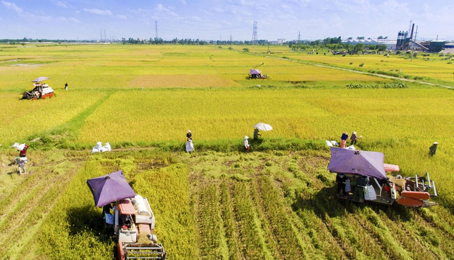 Hà Nội ban hành 5 quy trình giải quyết thủ tục hành chính lĩnh vực nông nghiệp