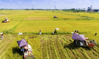 Hà Nội ban hành 5 quy trình giải quyết thủ tục hành chính lĩnh vực nông nghiệp