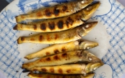 Ra xã đảo Minh Châu ăn cá đục một nắng nướng