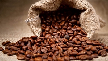 Giá cà phê hôm nay 10/7: Thị trường trong nước tăng nhẹ