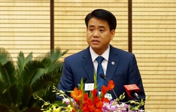 Chủ tịch Hà Nội: Sẽ công khai tên đơn vị trồng cây bật gốc