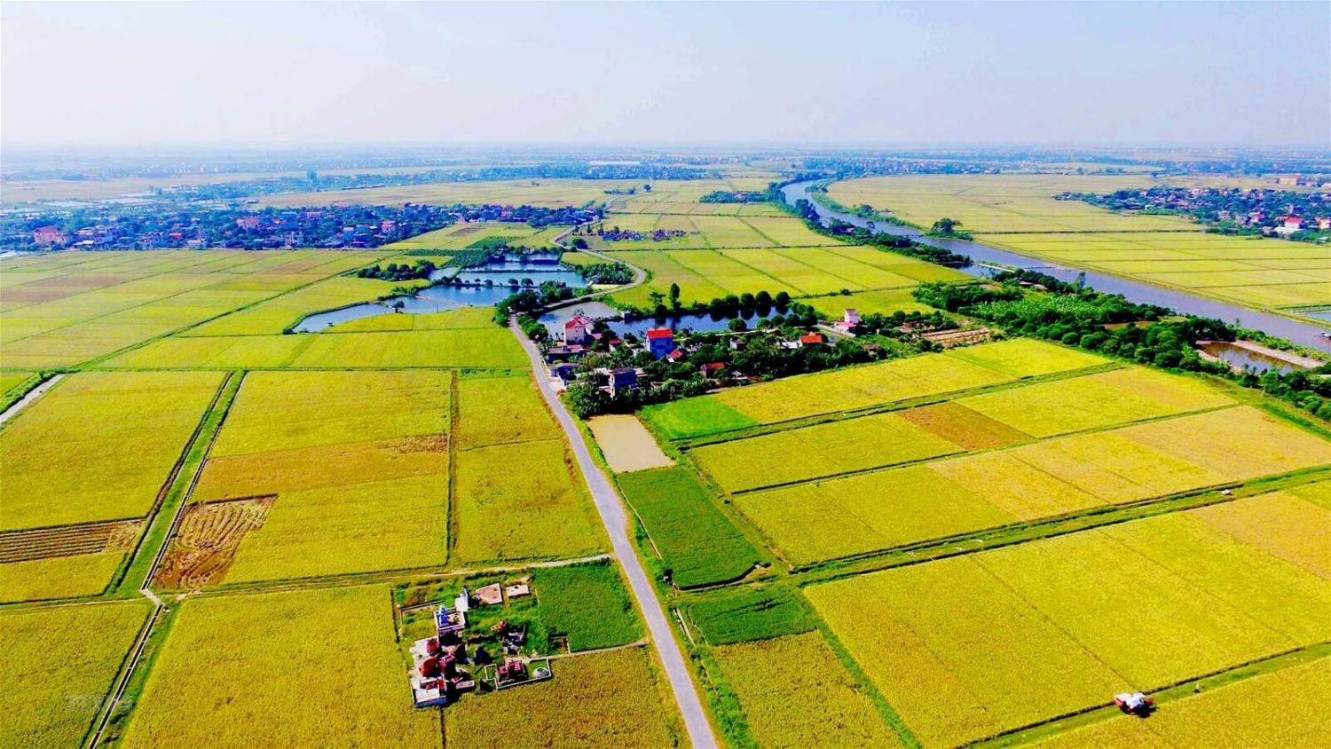 Tin nhanh bất động sản ngày 24/8: Hưng Yên chuyển đổi 65,6ha đất trồng lúa sang đất phi nông nghiệp