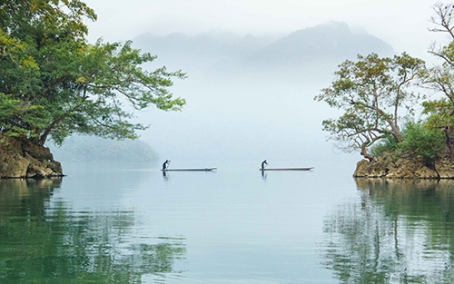 Những khu sinh thái hấp dẫn du khách tại Việt Nam