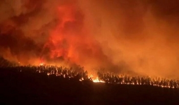 Tin Bộ Ngoại giao: Điện thăm hỏi cháy rừng tại Pháp