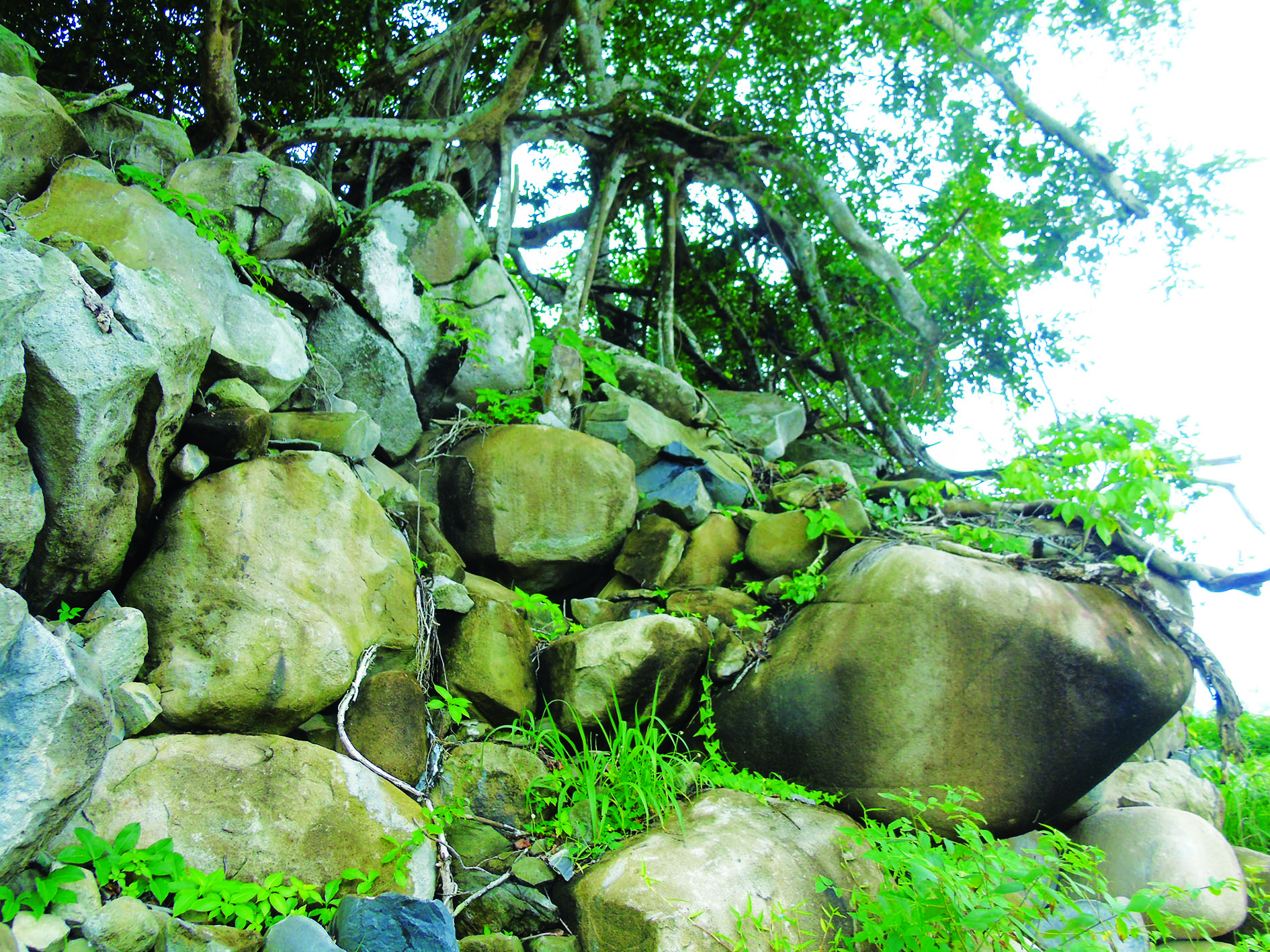 Tây Ninh: Bãi đá chuông trên núi Heo