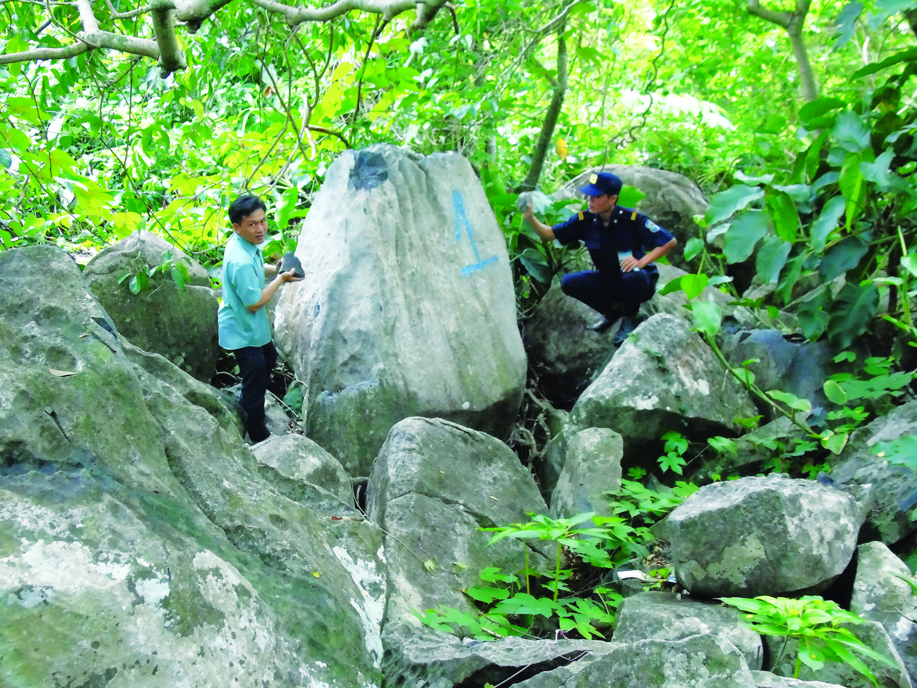 Tây Ninh: Bãi đá chuông trên núi Heo