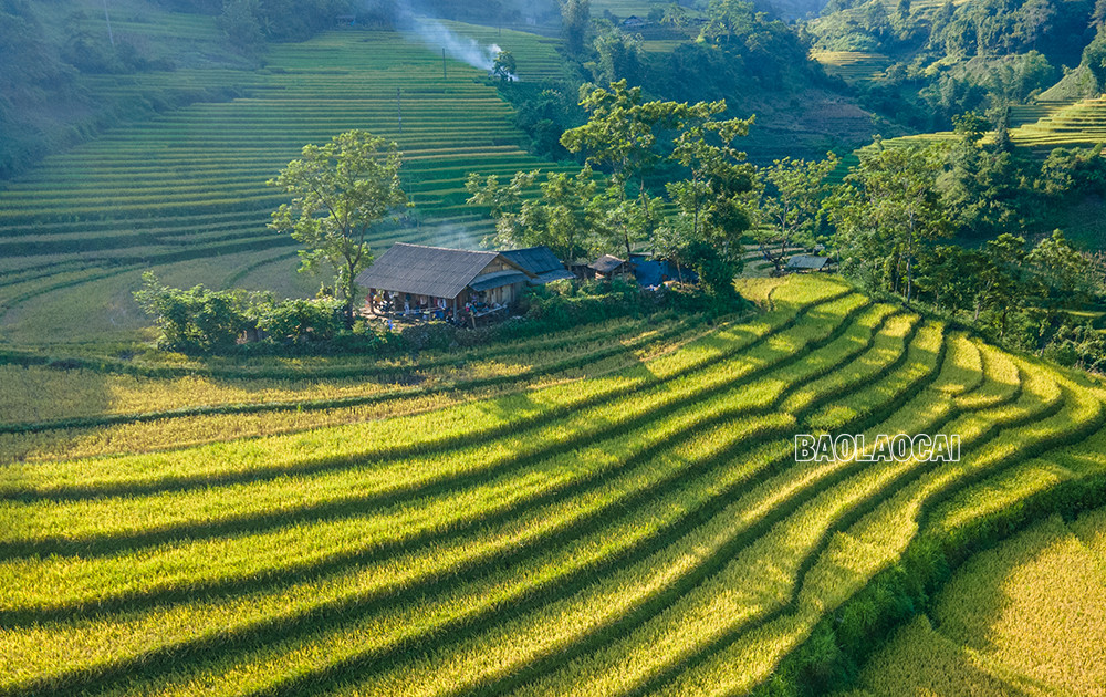 Quyến rũ mùa thu vàng Bát Xát