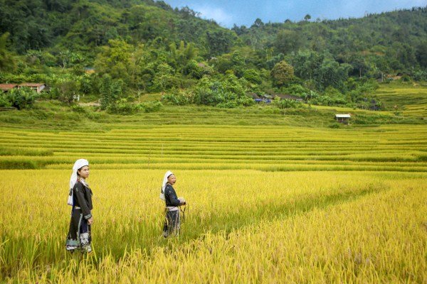 Hấp dẫn du lịch cộng đồng tại Hoài Khao (Cao Bằng)