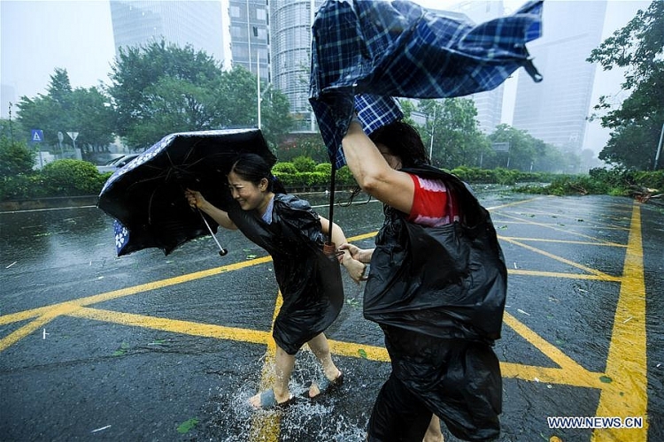 sieu bao mangkhut do bo trung quoc