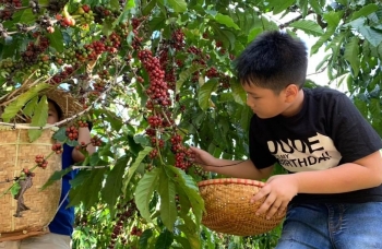 Việt Nam và Colombia tăng cường hợp tác xây dựng sản phẩm và xúc tiến du lịch cà phê