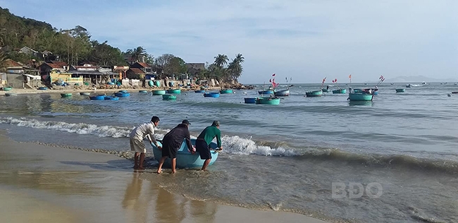 Làng chài Tân Phụng, Phù Mỹ.