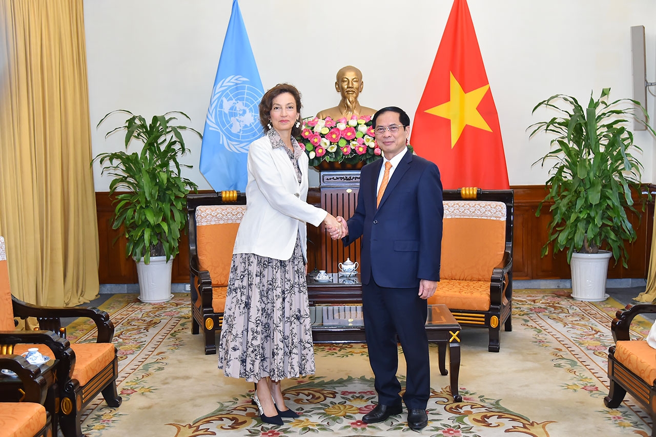 Bộ trưởng Bộ Ngoại giao Bùi Thanh Sơn tiếp Tổng Giám đốc UNESCO