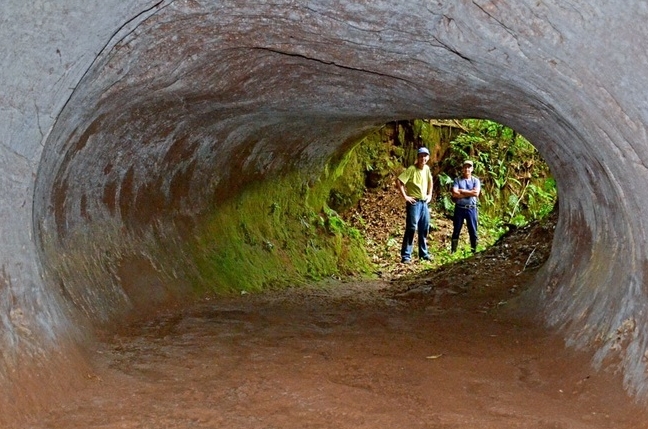 Bên trong hàng trăm đường hầm khổng lồ được "quái vật cổ đại" tạo ra